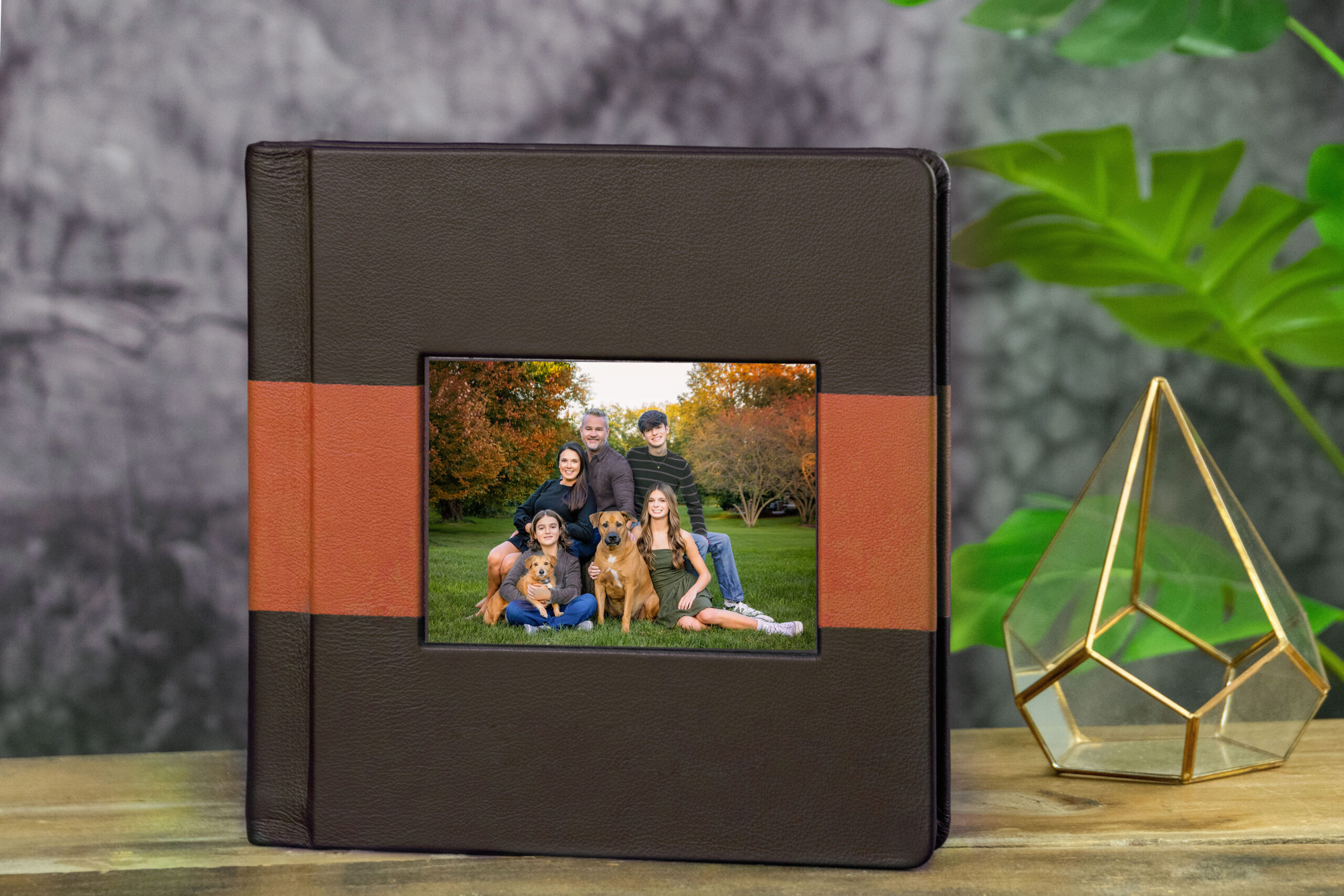 Professional Wedding Albums for Photographers